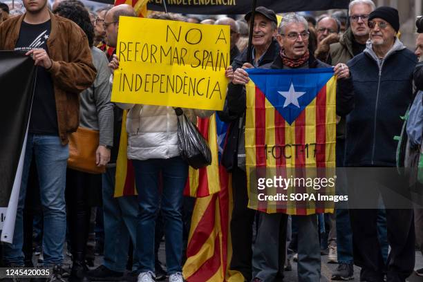 Group of protesters are seen displaying flags and placards in Plaza de Sant Jaume. Coinciding with the celebration of the National Day of the Spanish...
