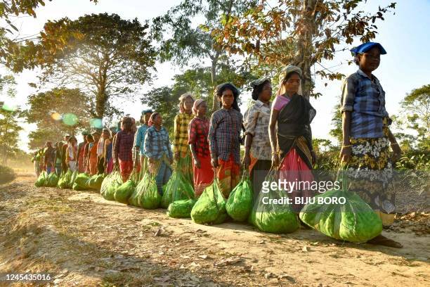Tea garden workers stand in a queue to weight and deposit their day's plucked tea leafs to a factory, at a tea garden at Rangapara in Sonitpur...