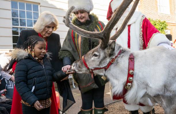 GBR: The Queen Consort Invites Children To Decorate The Clarence House Christmas Tree