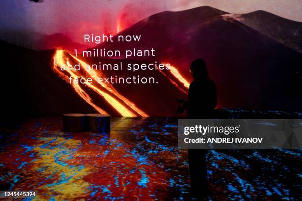 Woman visits the immersive video experience hosted by the National Geographic Society at a press event during the United Nations Biodiversity...