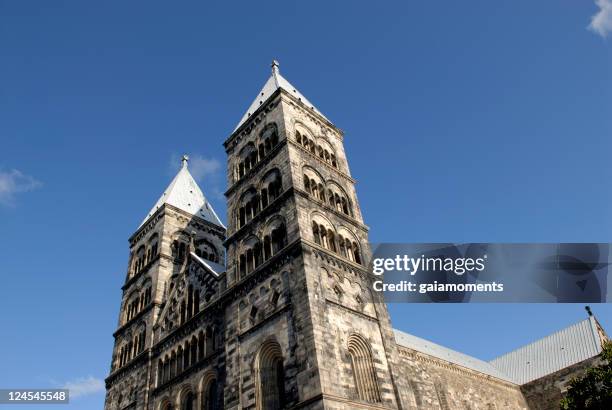 lund cathedral - lund stockfoto's en -beelden