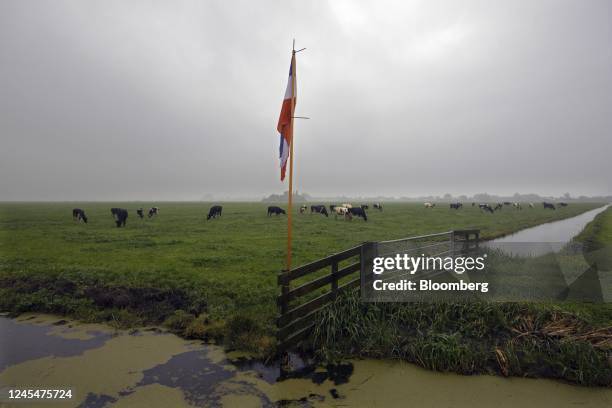 Dutch flag flown upside down by farmers to protest against the government's nitrogen policy on a dairy farm in Hazerswoude, Netherlands, on Thursday,...