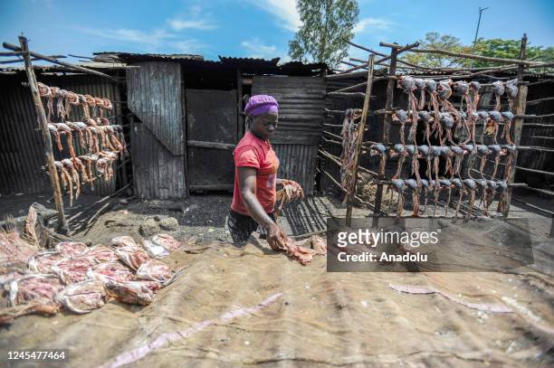 Woman lays fishbones on the stands at the bazaar in Kisumu, Kenya on November 28, 2022. Fishbones, one of the alternative foods for people in need,...