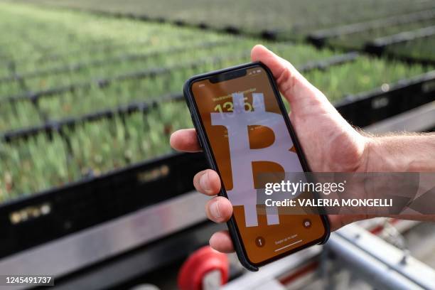 This photograph taken on December 7, 2022 shows the bitcoin logo on a smart phone in a greenhouse heated with bitcoin miners near Amsterdam. - A...