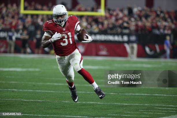 Arizona Cardinals running back David Johnson in action during an NFL NFC Divisional Playoff football game between the Green Bay Packers and the...