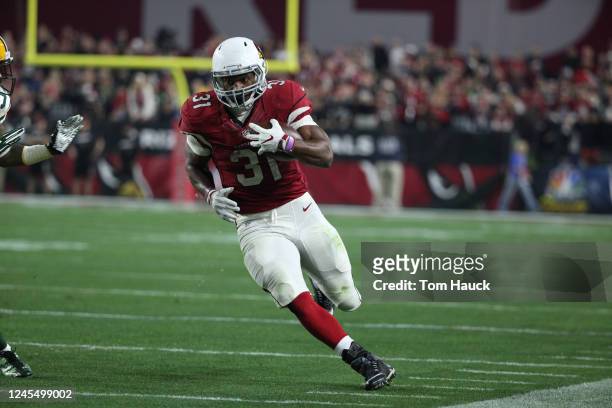 Arizona Cardinals running back David Johnson in action during an NFL NFC Divisional Playoff football game between the Green Bay Packers and the...