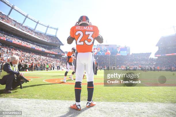 Denver Broncos running back Ronnie Hillman in action during an NFL AFC Divisional Playoff football game between the Denver Broncos and the Pittsburgh...