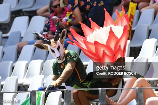 Fans dressed up as a springbok, South Africa's national animal, and a protea, South Africa's national flower, are seen in the stands during the HSBC...