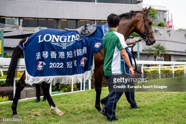 Wellington poses for photo after winning the Longines Hong Kong Sprint of the Longines Hong Kong International Races at Sha Tin Racecourse on...