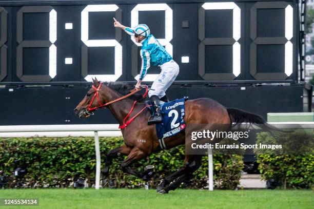 Jockey James McDonald riding Romantic Warrior wins the Longines Hong Kong Cup of the Longines Hong Kong International Races at Sha Tin Racecourse on...