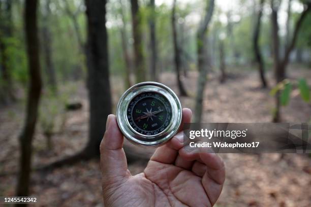 compass at forest - lost item stock-fotos und bilder
