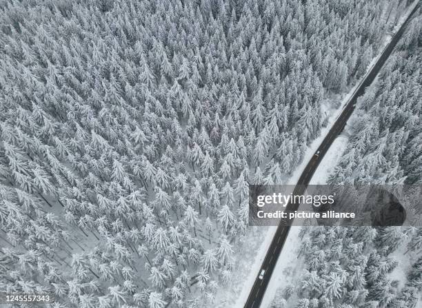 Dpatop - 12 December 2022, Hessen, Schmitten: Snow lies on the tops of the trees in the Taunus region . In the coming days, temperatures are expected...