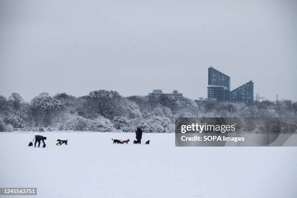 People walk their pet dogs in the snow at Wanstead Park in East London. The wintery conditions in England have seen several inches of snow overnight...