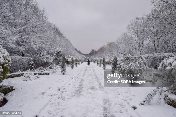 Regent's Park is covered in snow as freezing temperatures hit the UK.