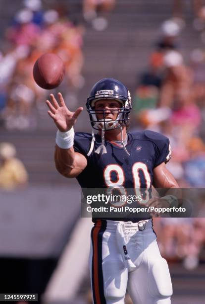 Chicago Bears tight end James Thornton during the NFL regular season match between Chicago Bears and Philadelphia Eagles at Soldier Field on October...