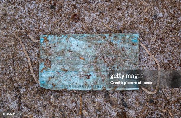 December 2022, Bavaria, Munich: A mouth-to-nose cover lies on the sidewalk in the English Garden in sleet. Photo: Peter Kneffel/dpa