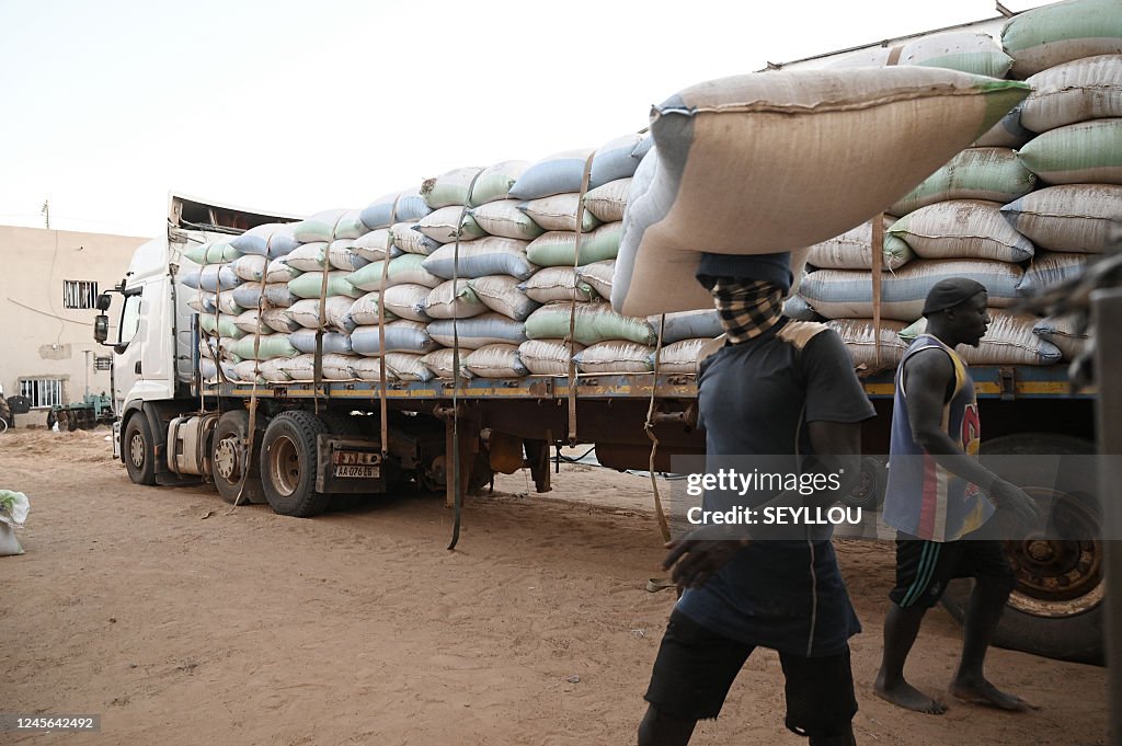 Dwl Rice Labourers unload sacks filled with paddy rice from a truck at a rice ...