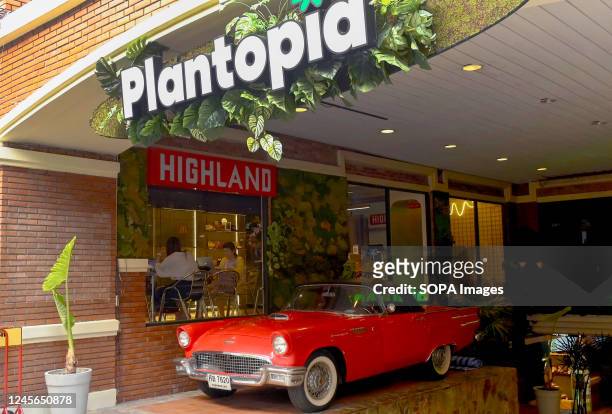 Plantopia, in an underground mall selling legal Mariijuana. In the metropolitan area of Bangkok 1995 marijuana dispensaries/shops, have opened, and...