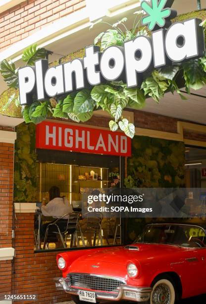 Plantopia, in an underground mall selling legal Mariijuana. In the metropolitan area of Bangkok 1995 marijuana dispensaries/shops, have opened, and...