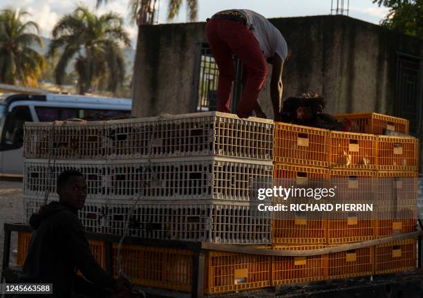 Belladere Belladere Photos and Premium High Res Pictures - Getty Images