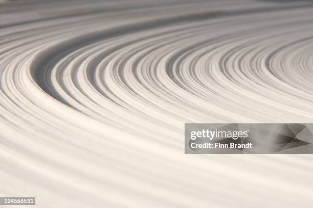 paper roll close-up - roll stock pictures, royalty-free photos & images