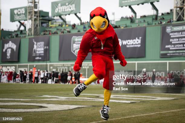 Louie the Louisville Cardinals mascot reacts during the 2022 Wasabi Fenway Bowl against the Cincinnati Bearcats on December 17, 2022 at Fenway Park...