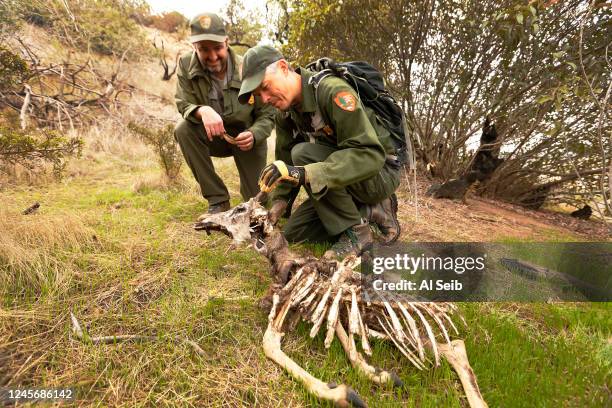 Seth Riley Photos and Premium High Res Pictures - Getty Images