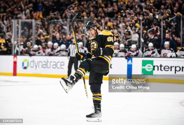 David Pastrnak of the Boston Bruins celebrates his first period goal against the Columbus Blue Jackets at TD Garden on December 17, 2022 in Boston,...