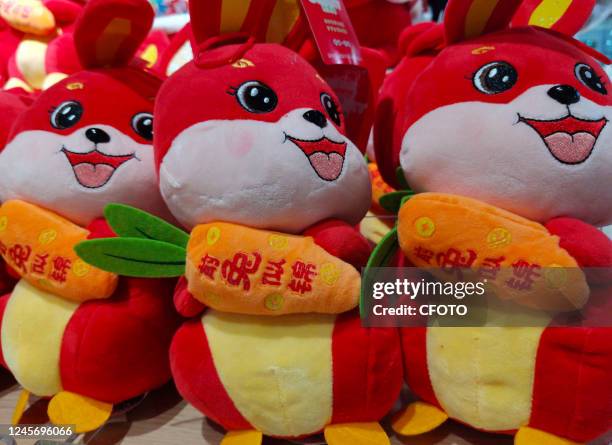 China Rabbit Mascot Maskot And Supermarket Photos and Premium High Res Pictures - Getty Images