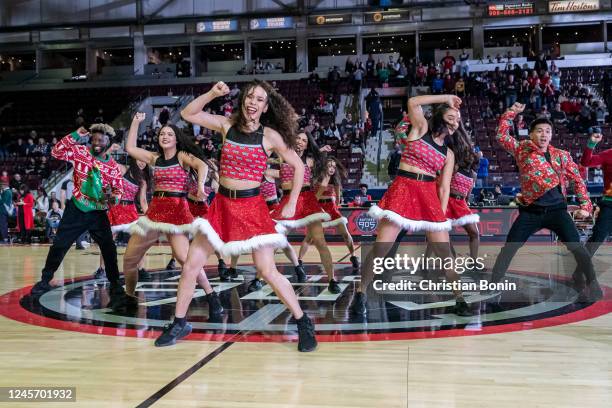 Sauga Raptors Sauga Photos and Premium High Res Pictures - Getty Images