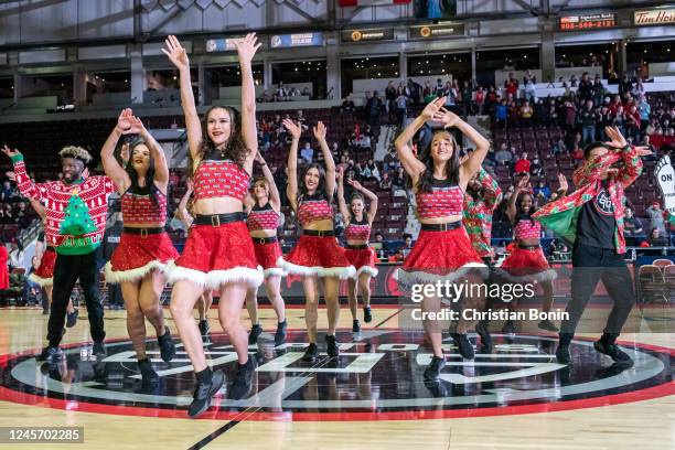 Sauga Raptors Sauga Photos and Premium High Res Pictures - Getty Images