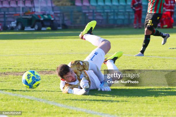Ascoli vs Fiorentina U19 MATCH HIGHLIGHTS