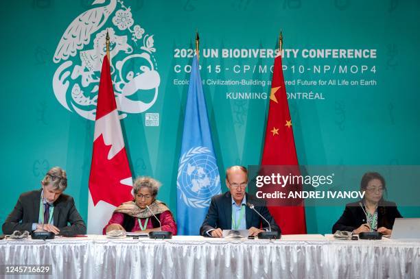 Marco Lambertini , the Director General of WWF International, speaks during a press conference following the release of new COP15 text during the...