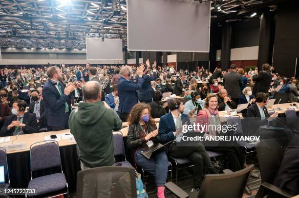 Delegates applaud after Mexico made a cris du coeur for delegates to reach an agreement during the plenary for the tail end of the United Nations...