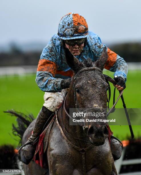 Kildare , Ireland - 19 December 2022; La Malmason, with Luke Dempsey up, during the Free Entry On NYE hurdle at Punchestown Racecourse in Naas,...