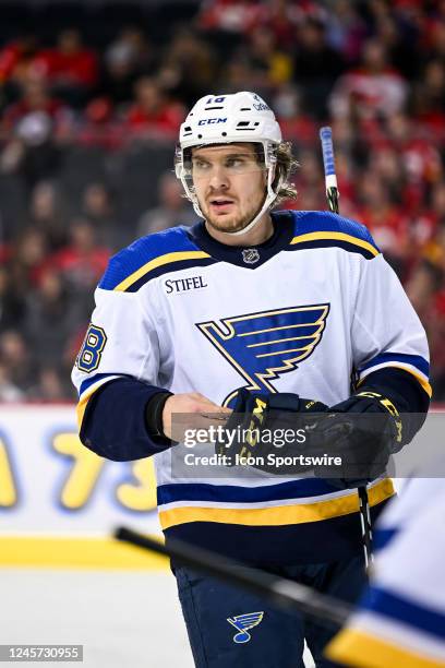 St. Louis Blues Center Robert Thomas puts his gloves back on after a whistle during the third period of an NHL game between the Calgary Flames and...