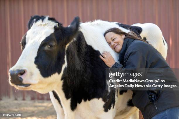 Santa Clarita , CA Ellie Laks, founder of The Gentle Barn hugs cow Holy Cow at the Santa Clarita animal rescue, Monday, Dec 19, 2022.