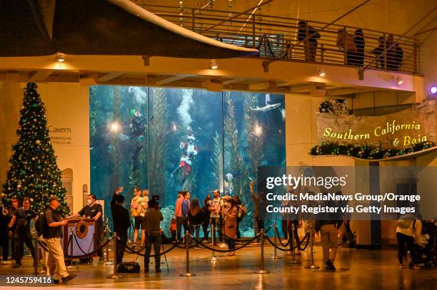 Long Beach, CA SCUBA-diving Santa greets visitors at in the Honda Blue Cavern at the Aquarium of the Pacific in Long Beach, CA, on Tuesday, November...