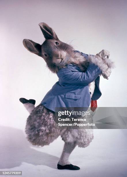 Royal Ballet dancer portraying Peter Rabbit in the ballet film, "The Tales of Beatrix Potter", directed by Reginald Mills , London, circa 1971.