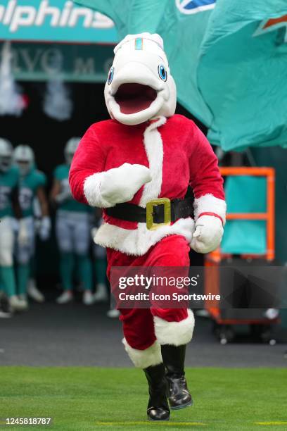 The Miami Dolphins mascot enters the field wearing a Santa Claus outfit before before the game between the Green Bay Packers and the Miami Dolphins...