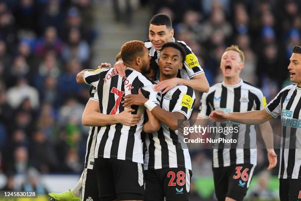 Newcastle United players celebrate after Chris Wood of Newcastle United score his sides first goal during the Premier League match between Leicester...