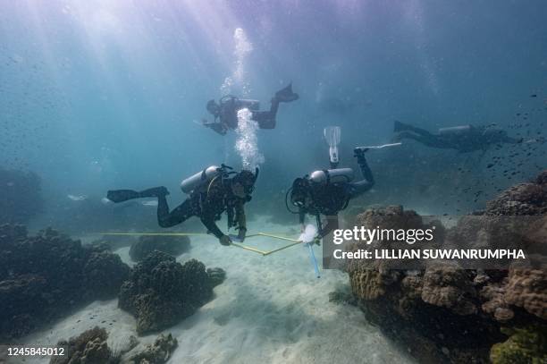 This photo taken on December 22, 2022 shows marine biologists and volunteers from Thailand's Department of Marine and Coastal Resources surveying an...