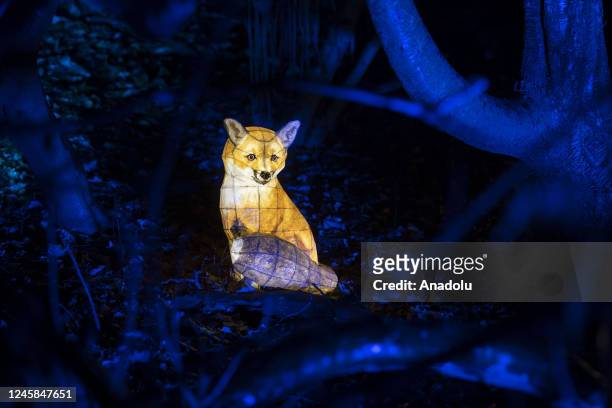 Fox shaped light work is illuminated for Christmas at Kenwood House in Hampstead area of London, United Kingdom on December 27, 2022. A sensational...