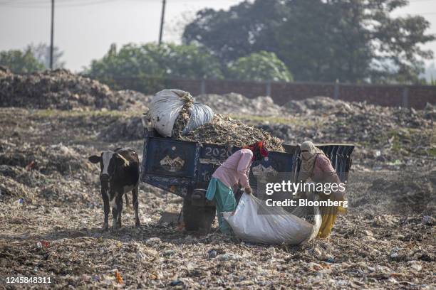 Workers sort through the waste from paper mills at a plastic scrap yard, in Muzaffarnagar District, Uttar Pradesh, India, on Saturday, Nov. 19, 2022....