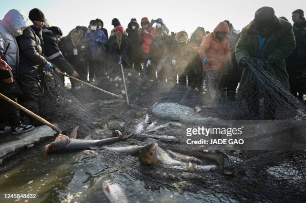 801 China Ice Fishing Stock Photos, High-Res Pictures, and Images