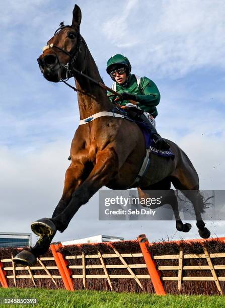 Dublin , Ireland - 28 December 2022; Sainte Dona, with Bryan Cooper up, jumps the last during the first circuit of the Pertemps Network Handicap...