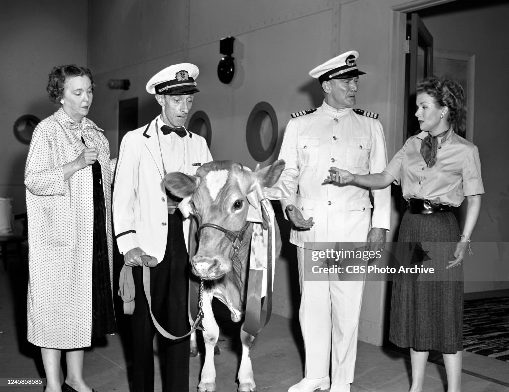 The Gale Storm Show...