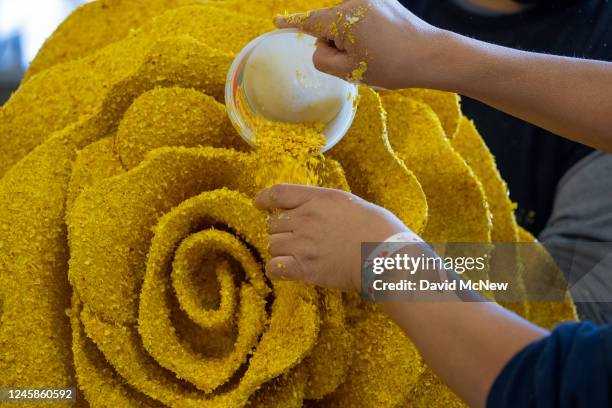 Dried straw flower peddles become part of a flower on the Building Industry Association Of Southern California float as volunteers glue tens of...