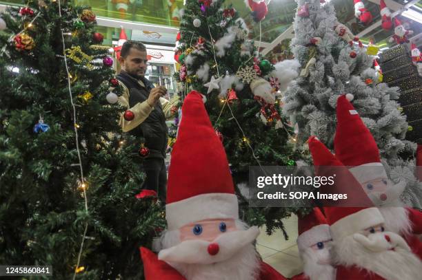 Palestinian man inspects Christmas trees at a shop in Gaza City.