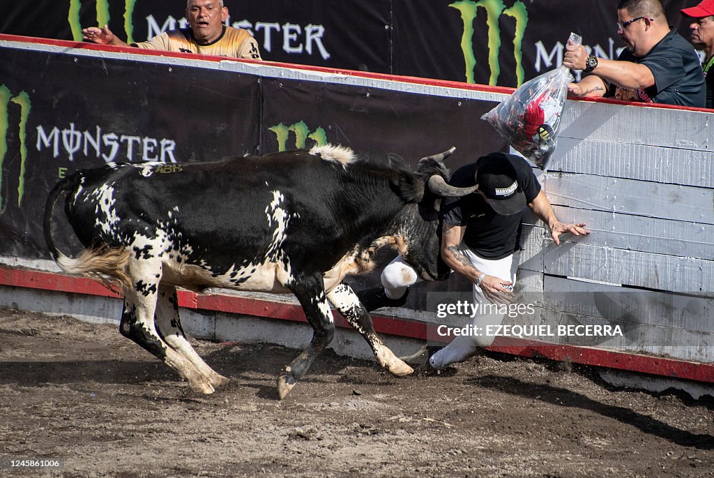 Costa Rica Rodeo An improvised bullfighter is charged by a bull during the 'Toros a la ...